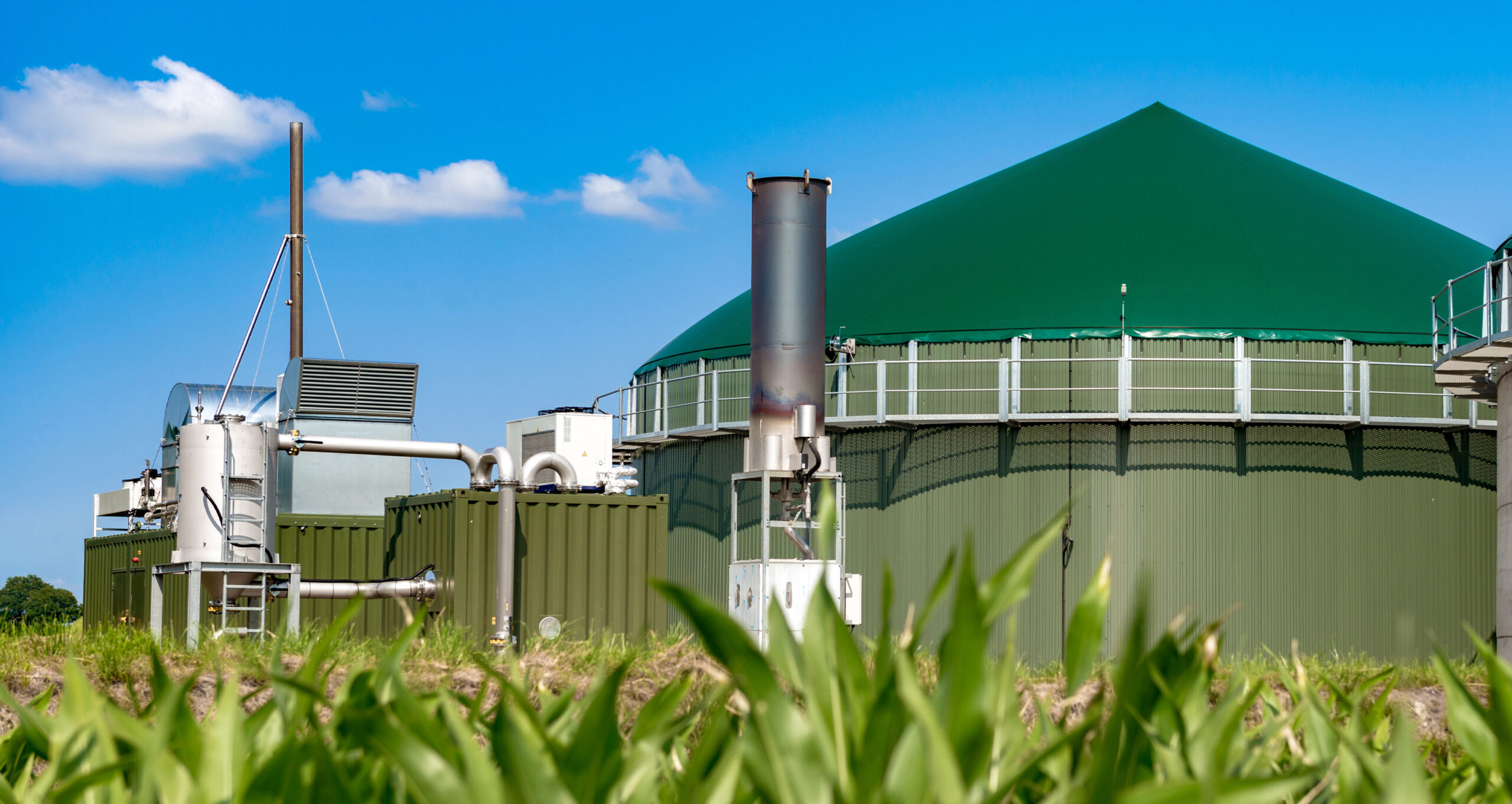 Nuovi Bruciatori Baltur a Biogas e Syngas